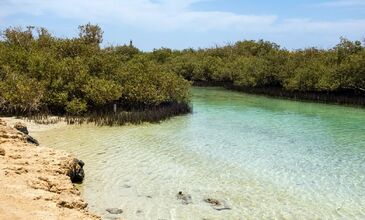 Antalya Hareketli Sharm el Sheikh Turu - Pegasus Havayolları ile 3 Gece 5 Gün - Her Şey Dahil Konaklama