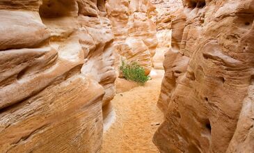 Baştan Başa Mısır Turu - Pegasus Havayolları ile - 7 Gece 9 Gün - 5 Öğle ve Akşam Yemeği Dahil